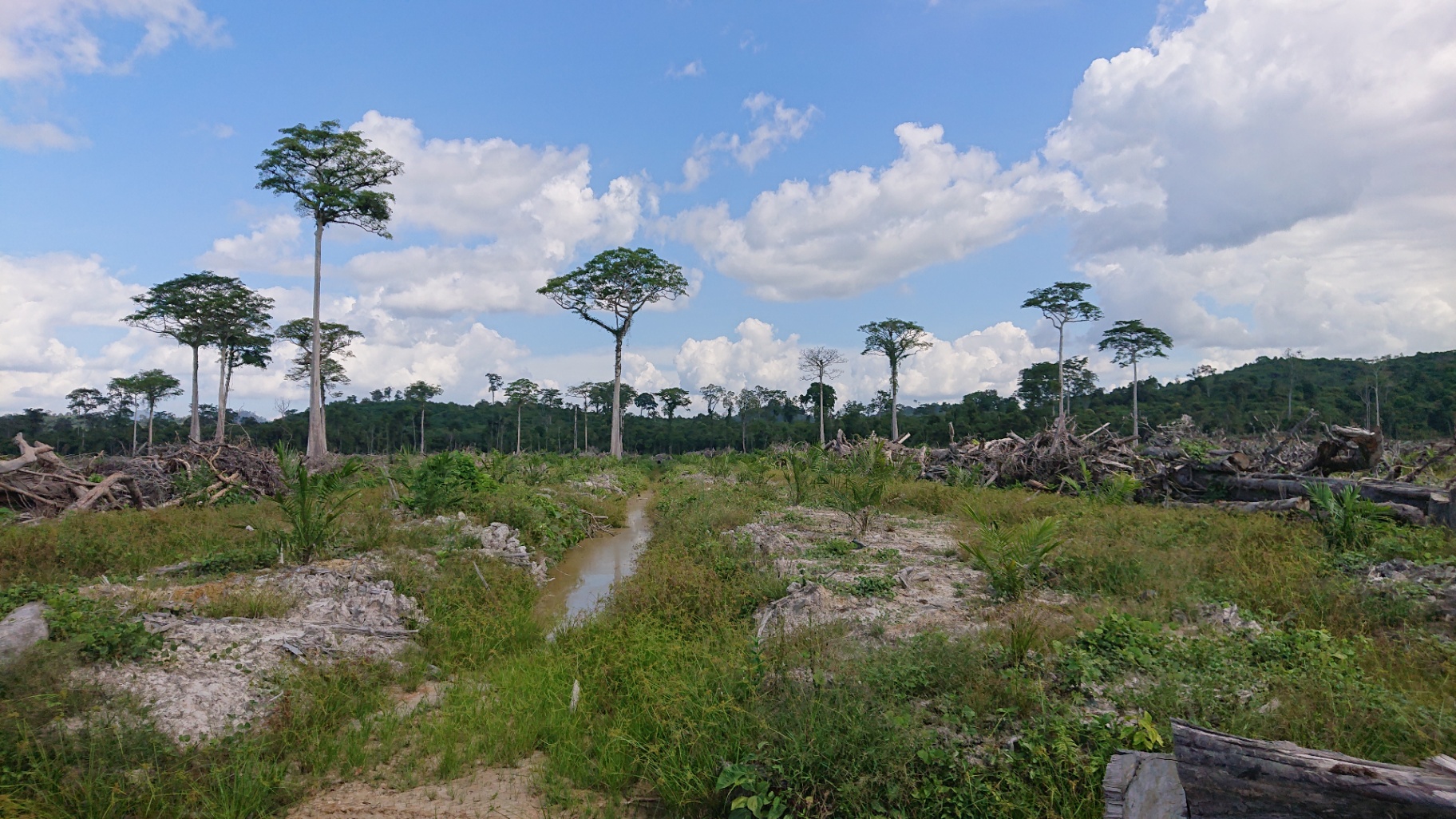 360° field evidence